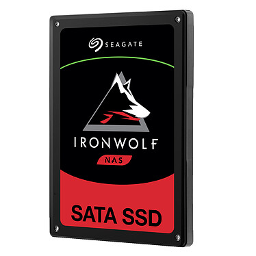 Seagate SSD IronWolf 110 480 Go