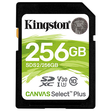 Kingston Canvas Select Plus SDS2/256GB · Occasion