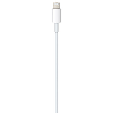Buy Apple USB-C to Lightning cable (2024) - 1 m