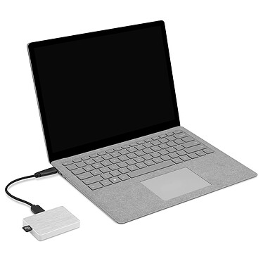 Acheter Seagate One Touch SSD 1 To Blanc