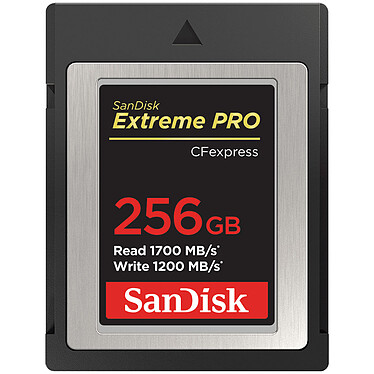 SanDisk Extreme Pro CFexpress Type B 256 Go (SDCFE-256G-GN4IN)