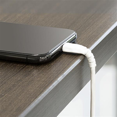 Acheter StarTech.com Câble USB Type-A vers Lightning - renforcé - 1 m - Blanc