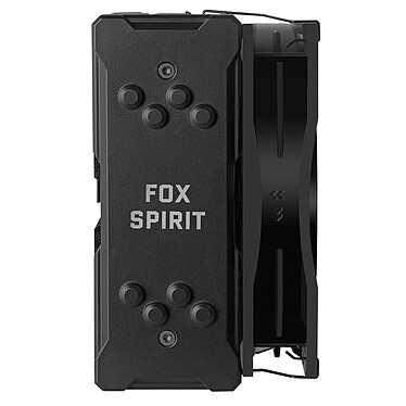 Review Fox Spirit Cold Snap VT120 A-RGB