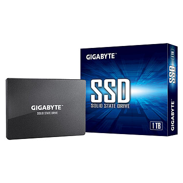 Gigabyte SSD 1 To