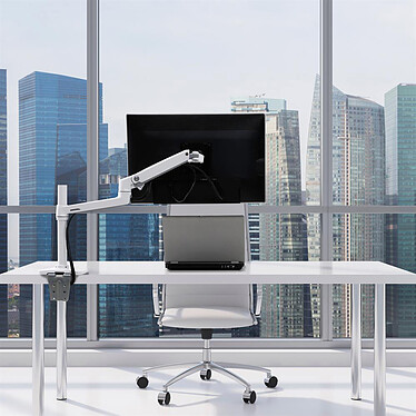 Avis Ergotron LX Desk Mount LCD Monitor Arm Tall Pole Blanc