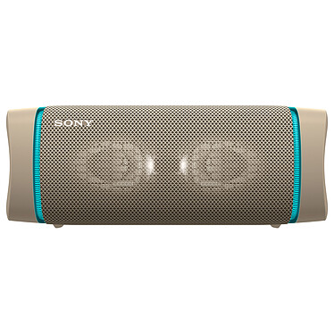 Sony SRS-XB33 Grigio
