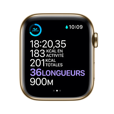Buy Apple Watch Series 6 GPS Cellular Stainless steel Gold Milanese 44 mm Bracelet