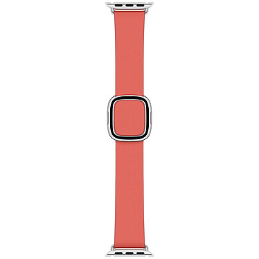 Bracciale Apple Moderna Fibbia 40 mm Agrumi Rosa - Grande