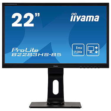 iiyama 21.5" LED - ProLite B2283HS-B5