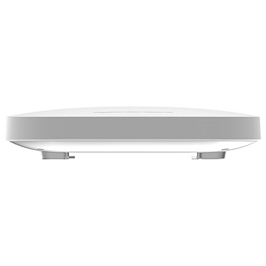 Netgear WAX610W (WAX610W-100EUS) pas cher