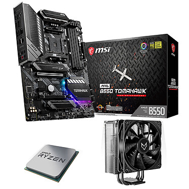 Kit de actualización de PC AMD Ryzen 5 5600X MSI MAG B550 TOMAHAWK