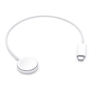 Apple Mag Charger USB-C Cable (0.3 m)