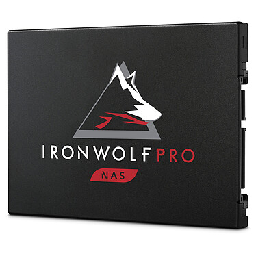 Seagate SSD IronWolf Pro 125 480 Go