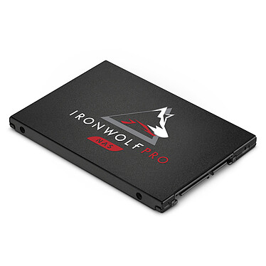 Acheter Seagate SSD IronWolf Pro 125 240 Go