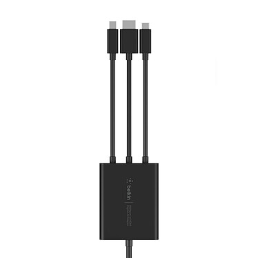 Review Belkin HDMI/USB-C/Mini-DP to HDMI Cable - 2.4 m