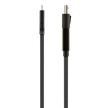 Acheter Belkin Câble USB-C vers DisplayPort compatible USB-C 3.1 et ThunderBolt 3 - 4K à 60Hz