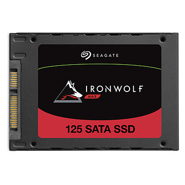 Review Seagate SSD IronWolf 125 500 GB