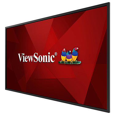 Review ViewSonic CDE5520