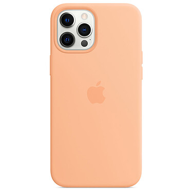 Custodia in silicone Apple con MagSafe Melon Apple iPhone 12 Pro Max