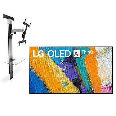 LG OLED55GX ERARD EXOSTAND400