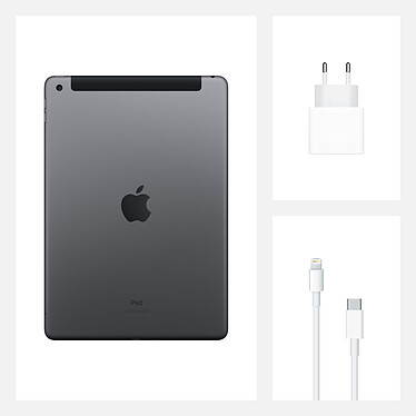 Apple iPad (Gen 8) Wi-Fi + Cellular 32 Go Gris Sidéral pas cher