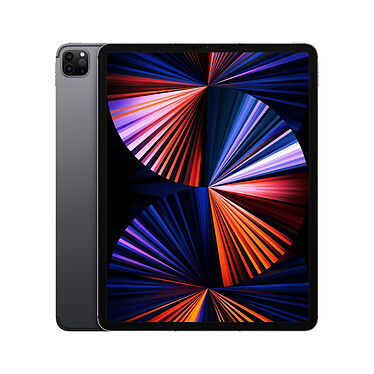 Apple iPad Pro (2021) 12.9 pouces 1 To Wi-Fi + Cellular Gris Sidéral