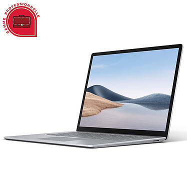 Microsoft Surface Laptop 4 15" for Business - Platinum (5IF-00029)