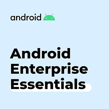 Google Android Enterprise Essentials - Licence 1 an
