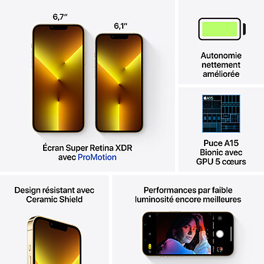 Buy Apple iPhone 13 Pro 256GB Gold