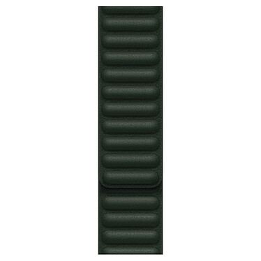 Cinturino Apple a maglie in pelle 45 mm verde sequoia - S/M