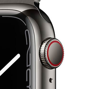 Avis Apple Watch Series 7 GPS + Cellular Graphite Stainless Graphite Bracelet Milanese 41 mm