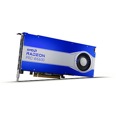 Avis AMD Radeon Pro W6600