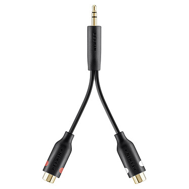 Belkin Câble adaptateur audio RCA/jack 3.5 mm - 10 cm