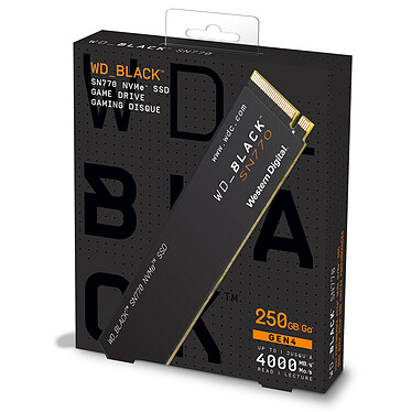Acheter Western Digital SSD WD_Black SN770 250 Go