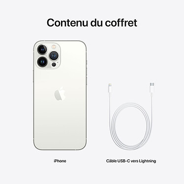 Apple iPhone 13 Pro Max 256 Go Argent pas cher