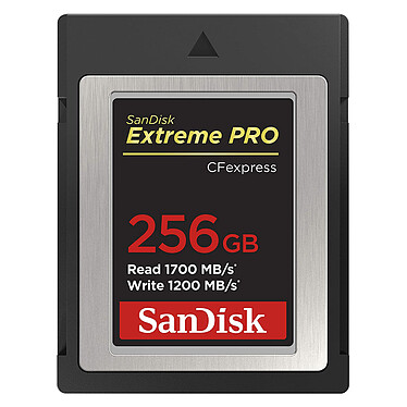 SanDisk Extreme Pro CFexpress Type B 256 GB