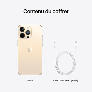 Apple iPhone 13 Pro 256 Go Or pas cher