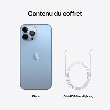 Apple iPhone 13 Pro Max 256 Go Bleu Alpin pas cher