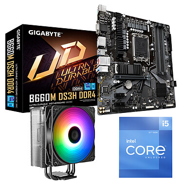 Intel Core Core i5-12600K Gigabyte B660M DS3H DDR4 PC Upgrade Bundle