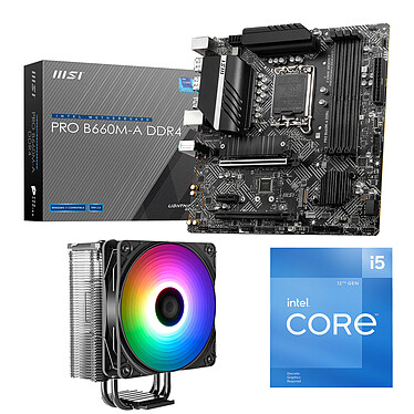 Kit di aggiornamento per PC Intel Core i5-12400F MSI PRO B660M-A DDR4