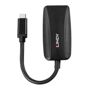 Comprar Conversor Lindy de USB tipo C a DisplayPort 1.4