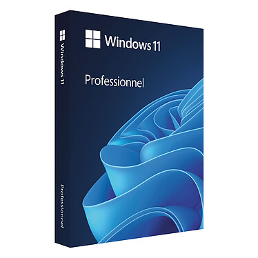Microsoft Windows 11 Pro For Workstation 64-bit - OEM (DVD)
