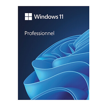 Microsoft Windows 11 Professionnel - Version clé USB