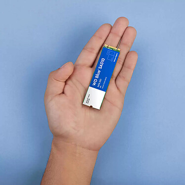 Comprar SSD Western Digital WD Blue SA510 250 GB - M.2