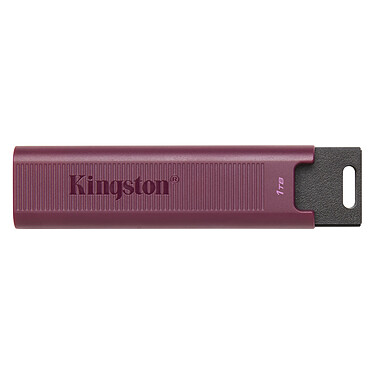 Kingston DataTraveler Max 1 TB (USB-A)