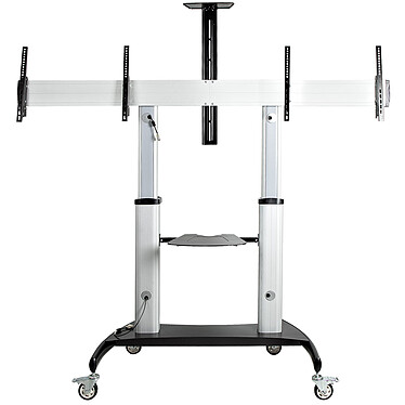 StarTech.com Double trolley stand with wheels for 37" to 60" TVs
