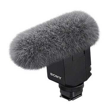 Camera microphone