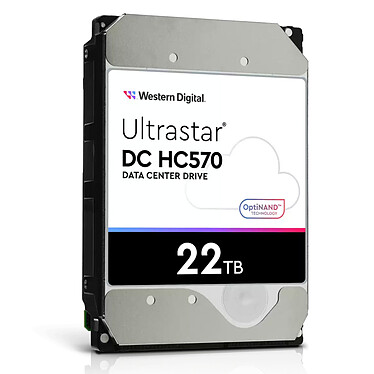 Avis Western Digital Ultrastar DC HC570 22 To (0F48155)