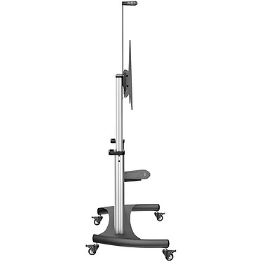 cheap StarTech.com Trolley stand for 60" to 100" TV