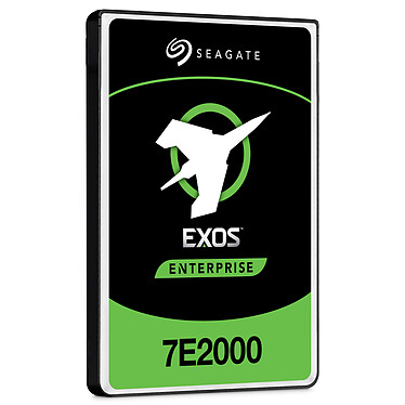 Avis Seagate Exos 7E2000 2.5 HDD 1 To (ST1000NX0313)